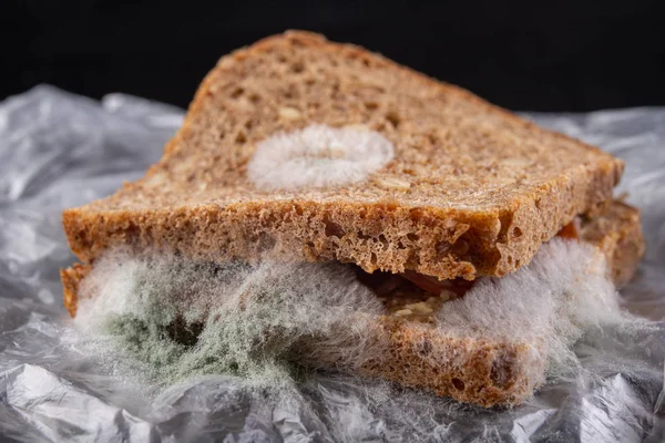 Panino ammuffito con carne affumicata in un sacchetto di plastica. Pane scuro arguzia — Foto Stock