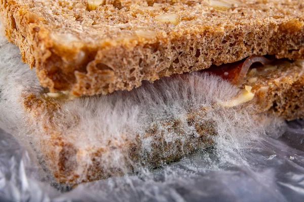 Panino ammuffito con carne affumicata in un sacchetto di plastica. Pane scuro arguzia — Foto Stock