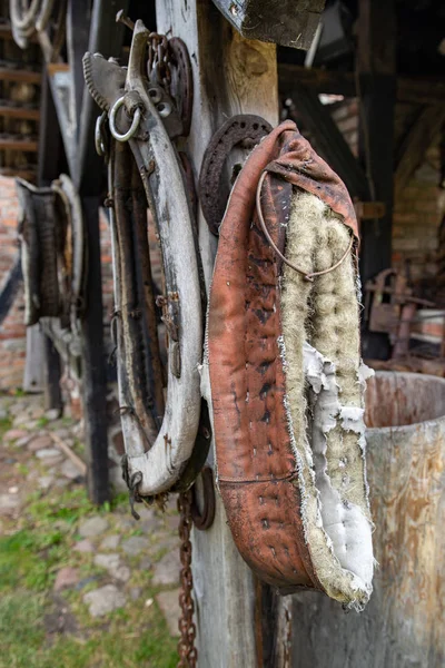 古い厩舎の馬のためのハーネス 古い乗馬アクセサリー — ストック写真