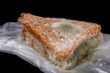 Plastik bir torba içinde füme et ile Moldy sandviç. Koyu ekmek zekâ