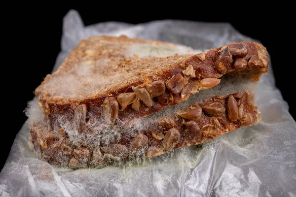 在塑料袋中加熏肉的霉菌三明治。黑面包机智 — 图库照片