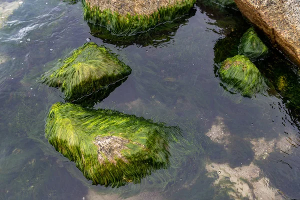 Mořské Mořské Vody Pokrývané Kameny Pláž Baltském Moři Střední Evropě — Stock fotografie