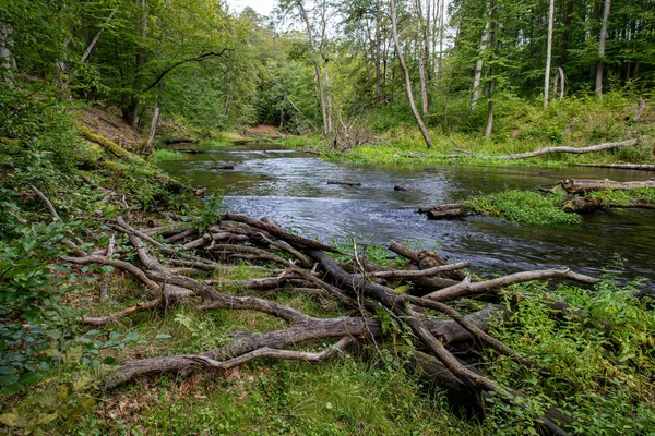 아름다운 자연 보호구역에 있는 작은 강. — 스톡 사진