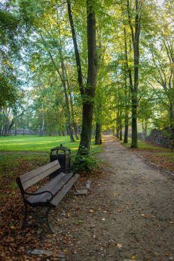 Sabah ları park bankı. C yolda Sabah güneş ışınları