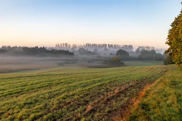 Brouillard sur les champs et les prairies le matin. Tôt le matin hors de — Photo