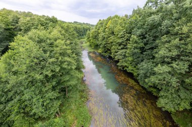 Demiryolu köprüsünden görünen küçük bir nehir. Nehir yatağı yaprak döken ağaçlarla kaplı. Yaz mevsimi.
