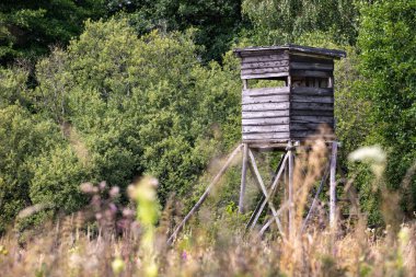 Avcılık kürsüsü ormanın kenarında duruyordu. Avlanmak için ahşap yapı. Yaz mevsimi.