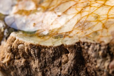 Kısmen erimiş kuvars. Kirli vitrize cam malzeme. Koyu arkaplan.