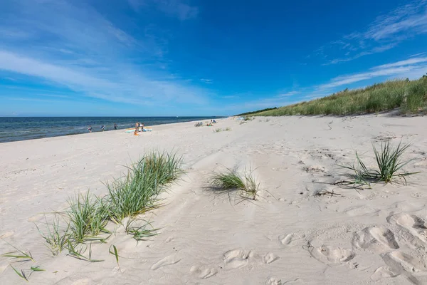 Mrzezyno Zachodniopomorskie Poland Agosto 2020 Uma Praia Deserta Dunas Junto — Fotografia de Stock