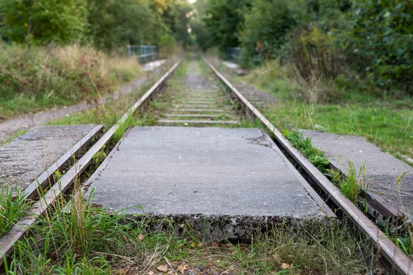Betonowe Przejście Przez Tory Kolejowe Stara Zarośnięta Trakcja Kolejowa Jesienny — Zdjęcie stockowe