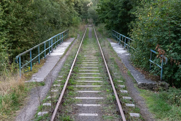 Viaduct Met Leuningen Voor Oude Spoorlijnen Oude Overwoekerde Spoorlijn Herfstseizoen — Stockfoto