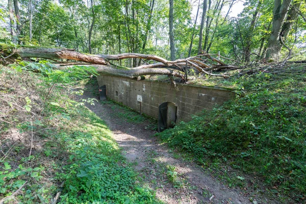 Grudziadz Kujawsko Pomorskie Poland September 2020 Historic Brick Fortress Hill — 图库照片