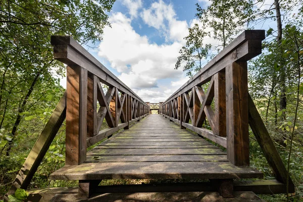 Wooden bridge in the forest with a sturdy railing. A walking area for pedestrians. Summer season.