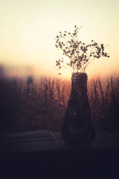Vase Mit Getrockneten Blumen Bei Sonnenuntergang — Stockfoto