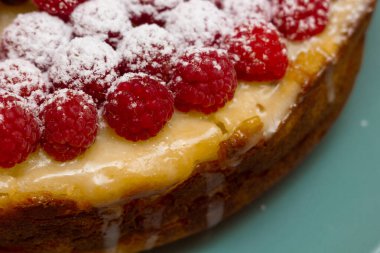 Taze ahududu ve kuşüzümlü ev yapımı cheesecake sağlıklı organik yaz tatlısı peynirli kek. Yabanmersinli vanilyalı peynirli kek.