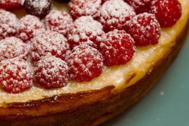 Taze ahududu ve kuşüzümlü ev yapımı cheesecake sağlıklı organik yaz tatlısı peynirli kek. Yabanmersinli vanilyalı peynirli kek.