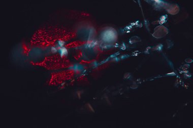 Soyut makro. Parılda ve bokeh