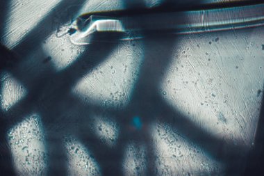 Soyut makro. Parılda ve bokeh