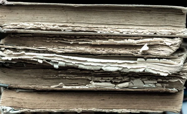 Background image of books. Book sheets texture. Binding. Books on the shelf in the library