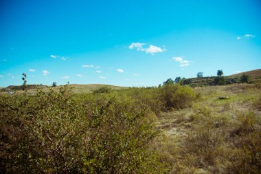 Yazın Steppe. Açık mavi gökyüzünün arka planında yeşil çimenler ve kır çiçekleriyle kaplı kumlu bozkır tepelerinin güzel bir alt manzarası. Arkaim rezervi.