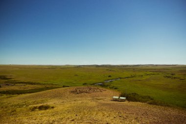 Yazın Steppe. Açık mavi gökyüzünün arka planında yeşil çimenler ve kır çiçekleriyle kaplı kumlu bozkır tepelerinin güzel bir alt manzarası. Arkaim rezervi.