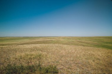 Yazın Steppe. Açık mavi gökyüzünün arka planında yeşil çimenler ve kır çiçekleriyle kaplı kumlu bozkır tepelerinin güzel bir alt manzarası. Arkaim rezervi.