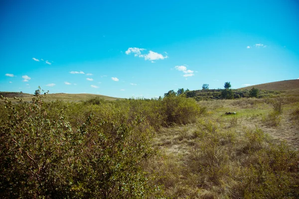 Estepe Verão Uma Bela Vista Fundo Das Colinas Estepe Arenosas — Fotografia de Stock