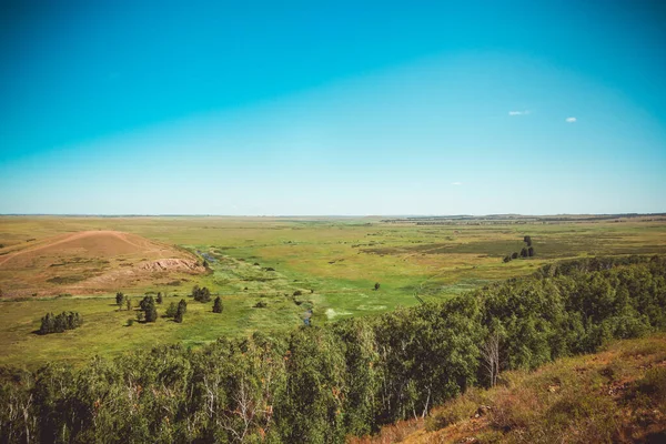 Steppe Zomer Een Prachtig Bodemzicht Zanderige Steppe Heuvels Bedekt Met — Stockfoto