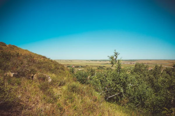 夏の一歩 澄んだ青い空を背景に 緑の芝生と野の花で覆われた砂の草原の丘の美しい下の景色 アルケム準備金 — ストック写真