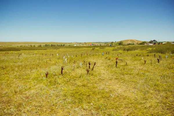 Steppe Summer Beautiful Bottom View Sandy Steppe Hills Covered Green — Stock Photo, Image