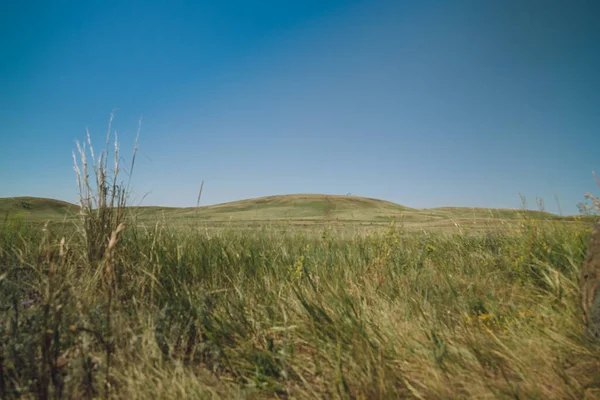 夏の一歩 澄んだ青い空を背景に 緑の芝生と野の花で覆われた砂の草原の丘の美しい下の景色 アルケム準備金 — ストック写真
