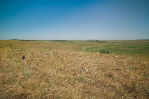 Estepe Verão Uma Bela Vista Fundo Das Colinas Estepe Arenosas — Fotografia de Stock