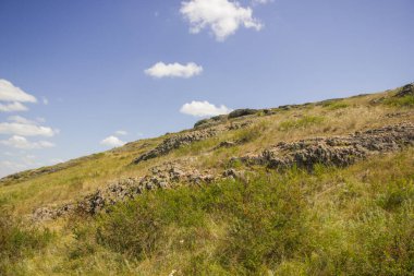 Yazın Steppe. Açık mavi gökyüzünün arka planında yeşil çimenler ve kır çiçekleriyle kaplı kumlu bozkır tepelerinin güzel bir alt manzarası. Arkaim rezervi.