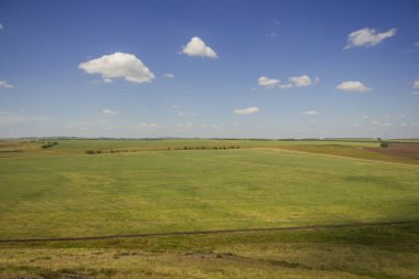 Yazın Steppe. Açık mavi gökyüzünün arka planında yeşil çimenler ve kır çiçekleriyle kaplı kumlu bozkır tepelerinin güzel bir alt manzarası. Arkaim rezervi.