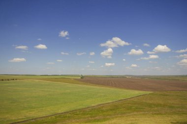 Yazın Steppe. Açık mavi gökyüzünün arka planında yeşil çimenler ve kır çiçekleriyle kaplı kumlu bozkır tepelerinin güzel bir alt manzarası. Arkaim rezervi.