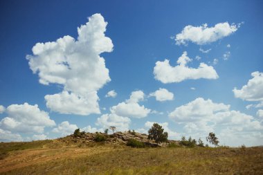 Yazın Steppe. Açık mavi gökyüzünün arka planında yeşil çimenler ve kır çiçekleriyle kaplı kumlu bozkır tepelerinin güzel bir alt manzarası. Arkaim rezervi.