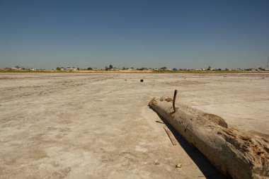 Bursol (Altai Bölgesi) tuzlu pembe gölünün kumsalına yakın çekim).