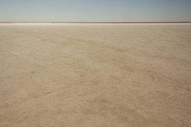 Bursol (Altai Bölgesi) tuzlu pembe gölünün kumsalına yakın çekim).