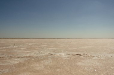 Bursol (Altai Bölgesi) tuzlu pembe gölünün kumsalına yakın çekim).