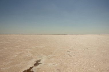 Bursol (Altai Bölgesi) tuzlu pembe gölünün kumsalına yakın çekim).