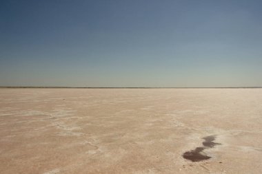 Bursol (Altai Bölgesi) tuzlu pembe gölünün kumsalına yakın çekim).
