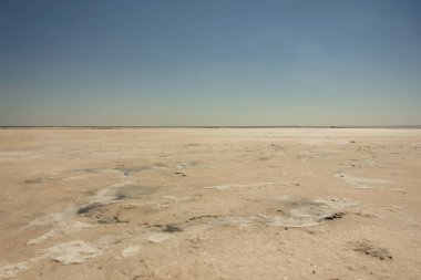 Bursol (Altai Bölgesi) tuzlu pembe gölünün kumsalına yakın çekim).