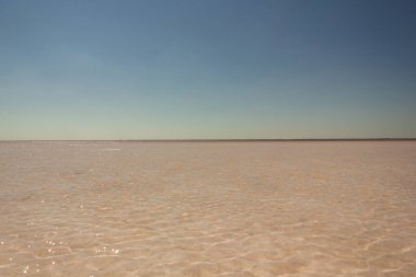 Tuzlu pembe Bursol Gölü 'nün (Altai Bölgesi) suyuna yakın çekim).