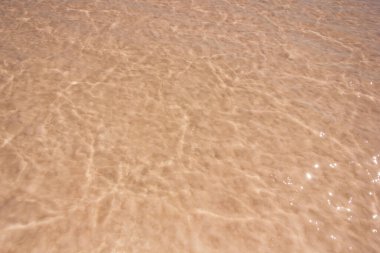 Tuzlu pembe Bursol Gölü 'nün (Altai Bölgesi) suyuna yakın çekim).