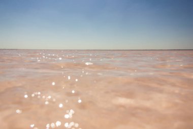 Tuzlu pembe Bursol Gölü 'nün (Altai Bölgesi) suyuna yakın çekim).