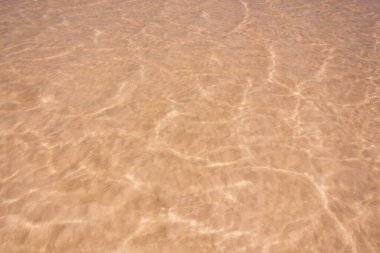 Tuzlu pembe Bursol Gölü 'nün (Altai Bölgesi) suyuna yakın çekim).