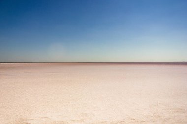 Tuzlu pembe Bursol Gölü 'nün (Altai Bölgesi) suyuna yakın çekim).