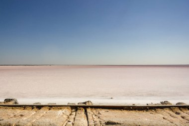 Demiryolunun yakınında tuzlu pembe göl Bursol (Altai Bölgesi) sahilinde.).