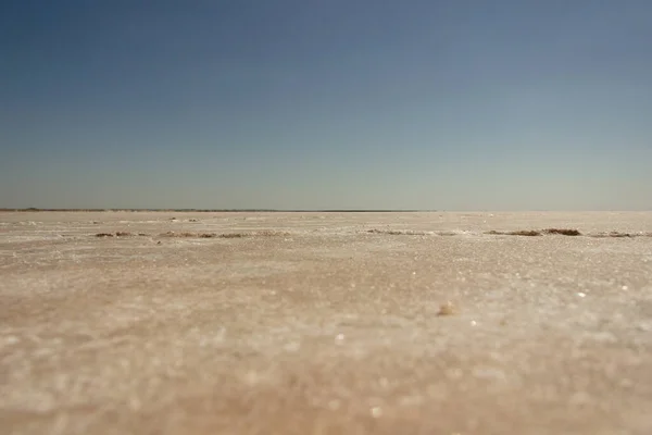 소금기가 분홍빛 모래의 — 스톡 사진