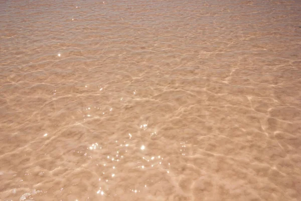 Close Water Salty Pink Lake Bursol Altai Territory — Stock Photo, Image